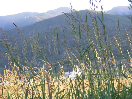 Swaner Preserve and EcoCenter